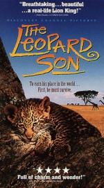 The Leopard Son