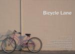 Bicycle Lane