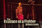 The Essence of a Fighter