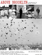 Above Brooklyn