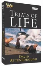 &#x22;The Trials of Life&#x22;