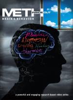 Meth Inside Out: Brain &#x26; Behavior