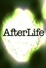 AfterLife