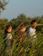 Семя священного инжира