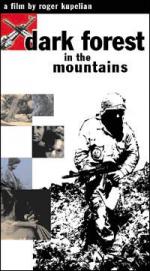 Dark Forest in the Mountains