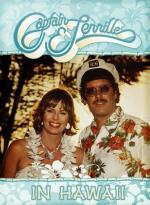 The Captain and Tennille in Hawaii