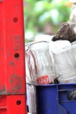 In Defense of Our Dreams