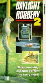 Daylight Robbery 2