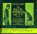 A Blue Ribbon Mutt