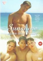 Sunshine After the Rain