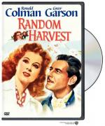 Marines in the Making