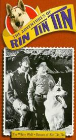 &#x22;The Adventures of Rin Tin Tin&#x22;