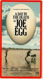 A Day in the Death of Joe Egg