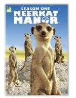 &#x22;Meerkat Manor&#x22;