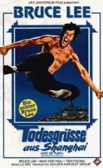 Кулак ярости: 292x475 / 42 Кб