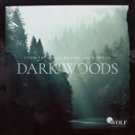 Dark Woods: 1200x1200 / 227.29 Кб