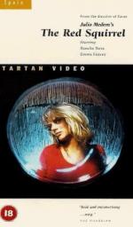 Рыжая белка: 279x475 / 27 Кб