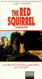 Рыжая белка: 258x475 / 30 Кб