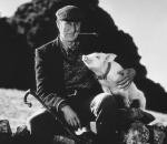 Бэйб: Четвероногий малыш: 412x357 / 29 Кб