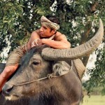 : 960x960 / 381 Кб