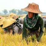 : 960x962 / 323 Кб