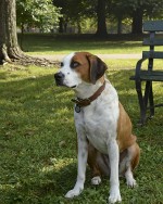 : 819x1024 / 147 Кб