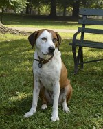 : 819x1024 / 152 Кб