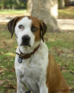 : 819x1024 / 78 Кб