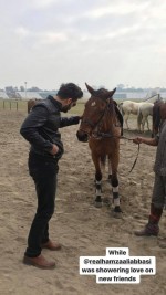 Легенда о Мауле: 576x1024 / 89 Кб