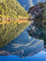 Рожденный в Китае: 768x1024 / 279 Кб