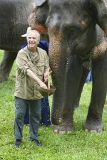 : 667x1000 / 281 Кб