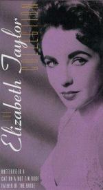 Кошка на раскалённой крыше: 259x475 / 32 Кб