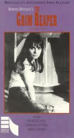 Костлявая кума: 255x475 / 27 Кб