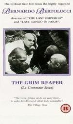 Костлявая кума: 279x475 / 31 Кб