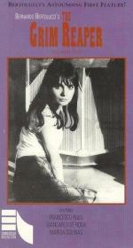 Костлявая кума: 255x475 / 30 Кб