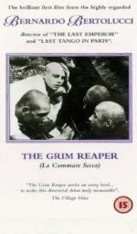 Фото Костлявая кума