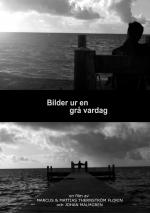 Bilder ur en grå vardag: 1448x2048 / 233 Кб