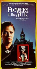 Цветы на чердаке: 259x475 / 40 Кб