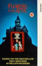 Цветы на чердаке: 306x475 / 31 Кб