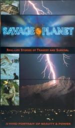 Дикая планета: 279x475 / 29 Кб