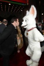 Вольт: 267x400 / 20 Кб