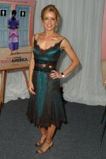 Трансамерика: 269x400 / 26 Кб