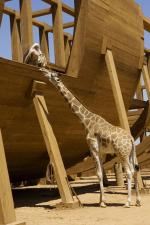 Эван Всемогущий: 450x675 / 65 Кб