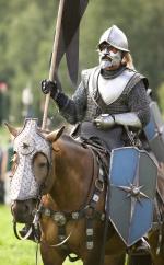 Хроники Нарнии: Принц Каспиан: 1272x2048 / 385 Кб