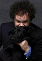 Год собаки: 281x400 / 19 Кб