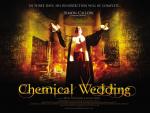 Химическая свадьба: 1091x820 / 180 Кб