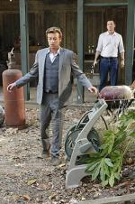 Менталист: 333x500 / 67 Кб