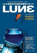 Обратная сторона Луны: 450x650 / 62 Кб