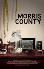 Morris County: 984x1524 / 227 Кб