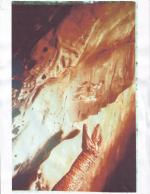 Lost on Adventure Island: 1584x2048 / 635 Кб